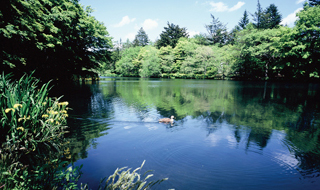 Kumoba-ike Pond